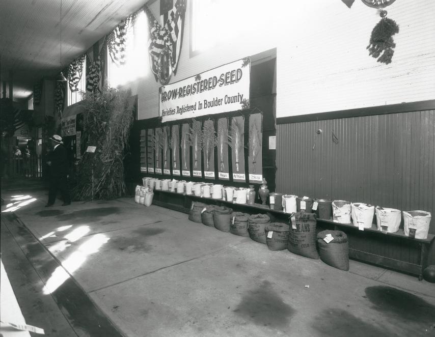 The Field Crops show at the Boulder County Fair, most likely shown by Boys Club members (4-H). Growing certified and registered seed was a main emphasis of Extension early on.