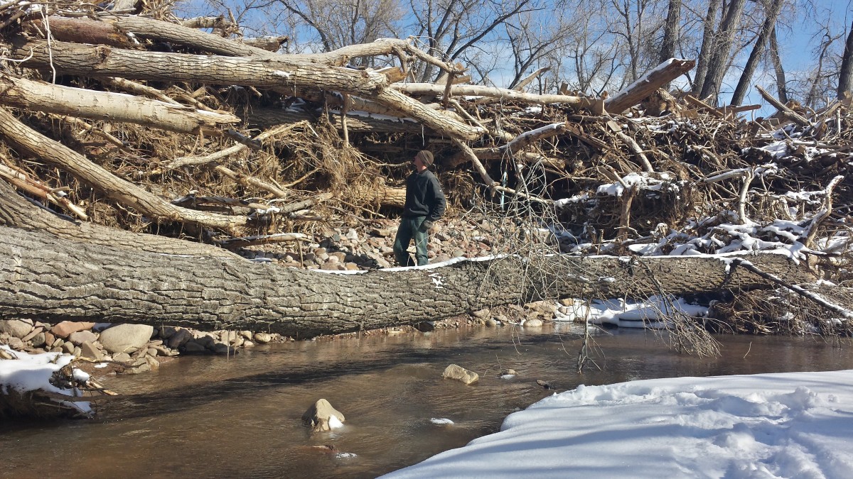 Flood Debris