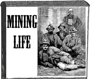 Mining Life