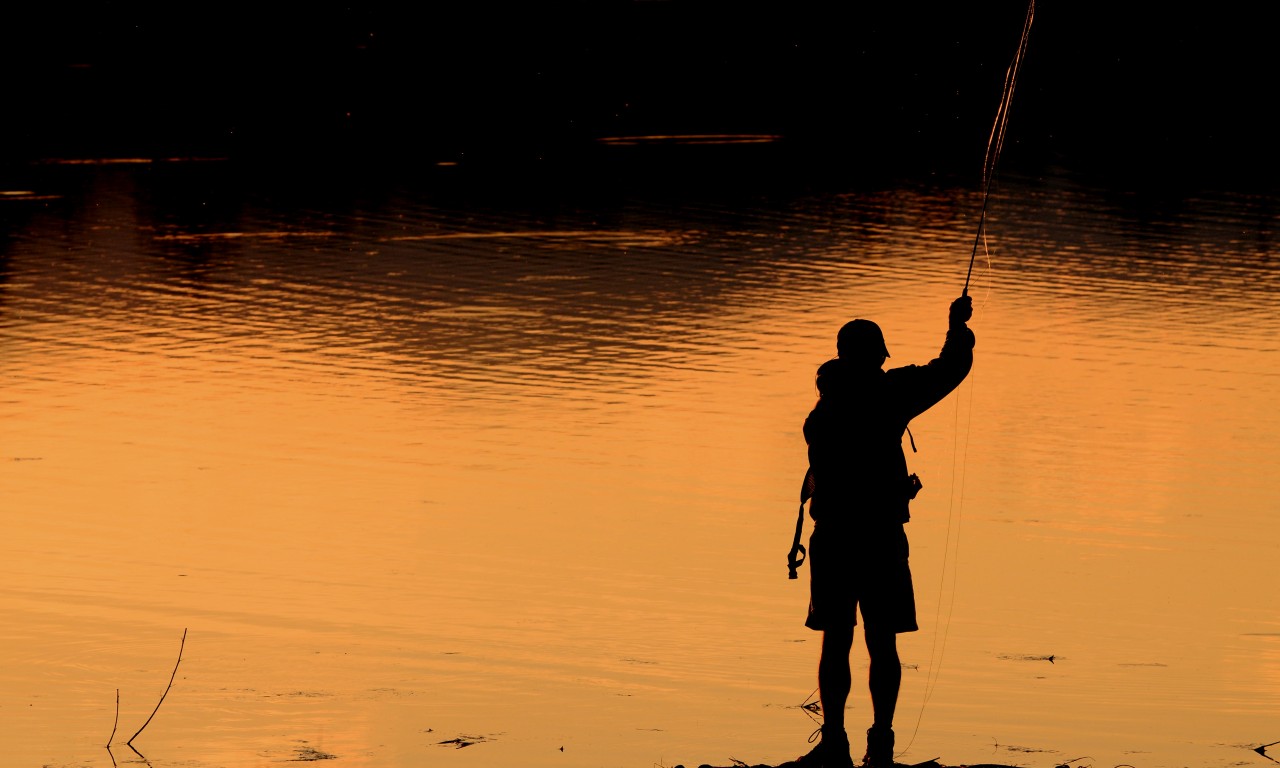 Angler at Walden Ponds