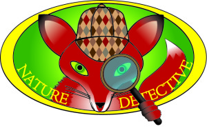 Sherlock Fox Nature Detectives