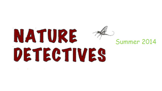 Nature Detectives Summer 2014