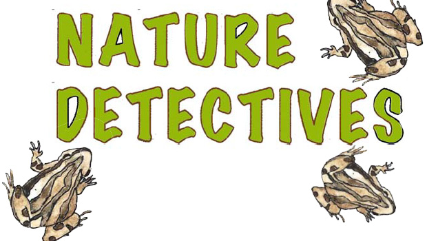 Nature Detectives Frogs