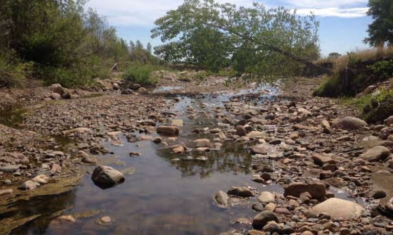 Research Summary: Riparian Inventory & Assessment of Post-Flood Conditions
