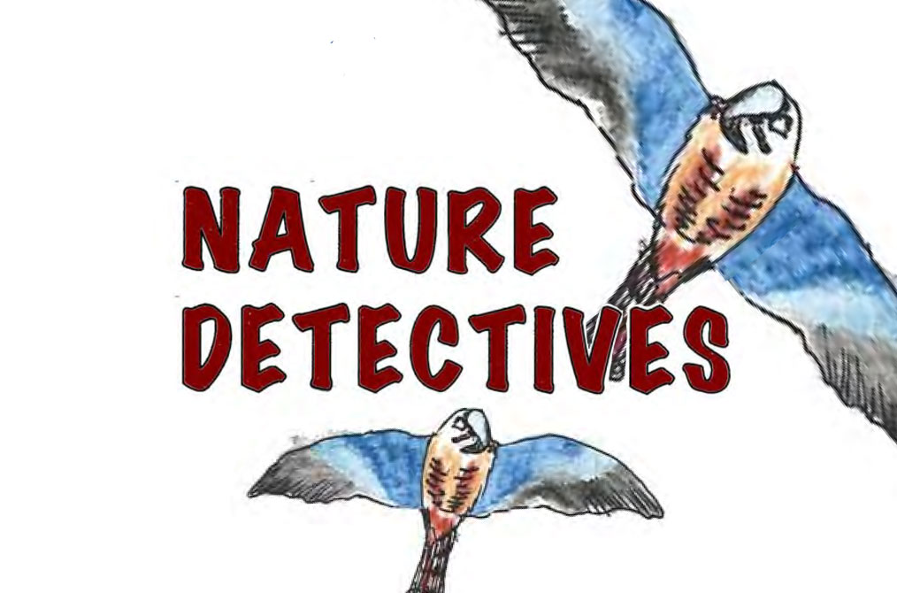 Nature Detectives