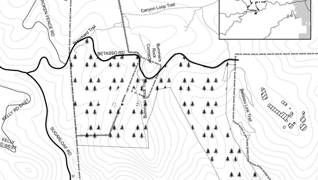 Betasso forestry map