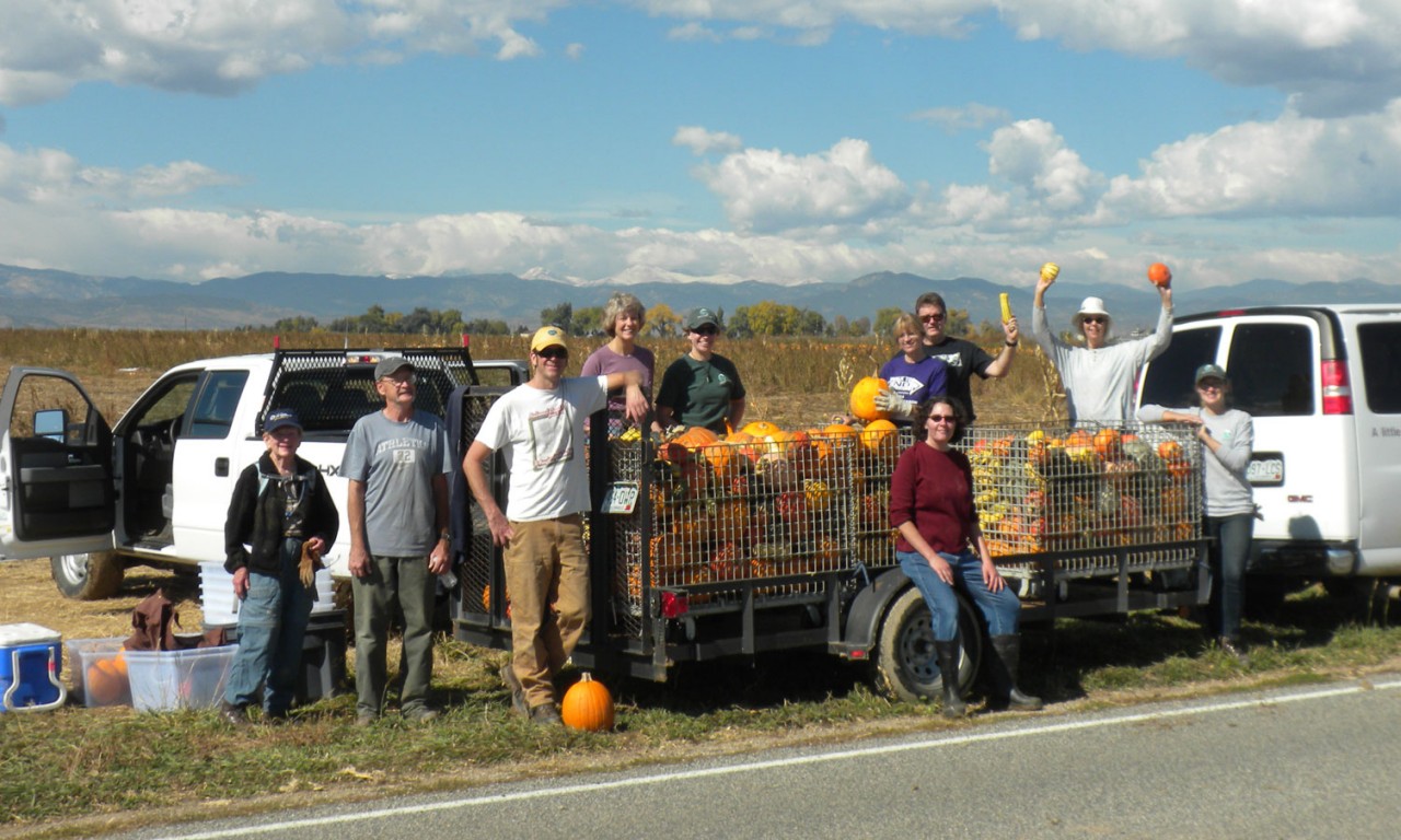 Helpful Harvest: Gleaning for Good