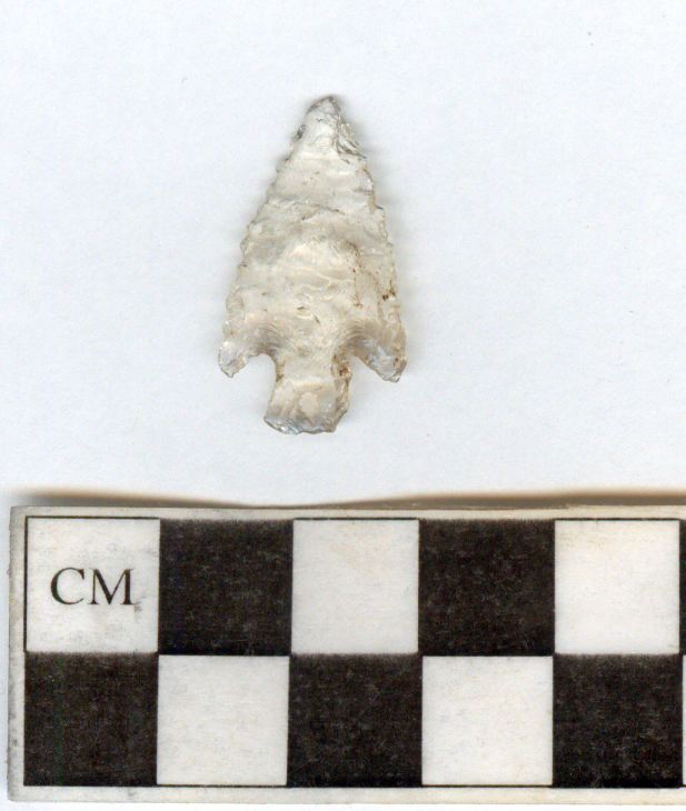 A quartz crystal projectile point excavated from hearth feature. The hearth dates from AD 650 to AD 1150. The point measures approximately 1.5 centimeters wide.