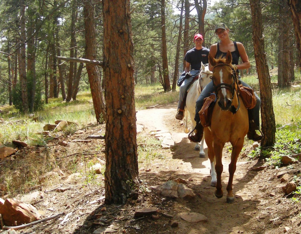 Two people riding horses on a trail in the mountains