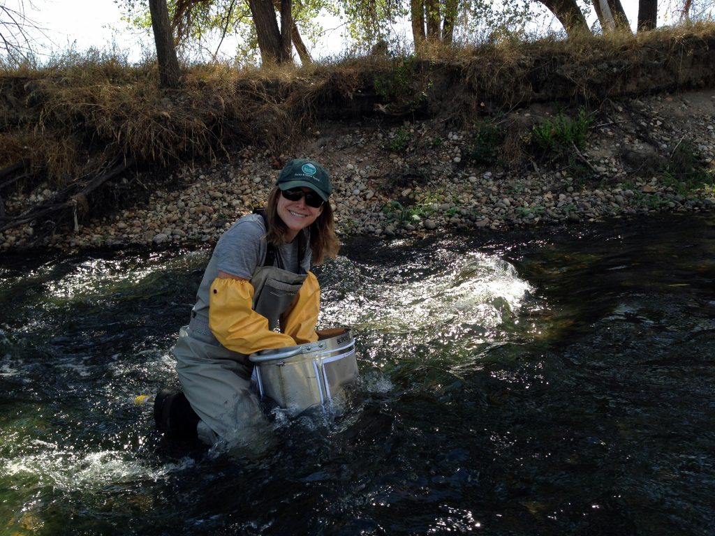 Wildlife biologist using a Hess Collector to study aquatic insect response to the 2013 flood