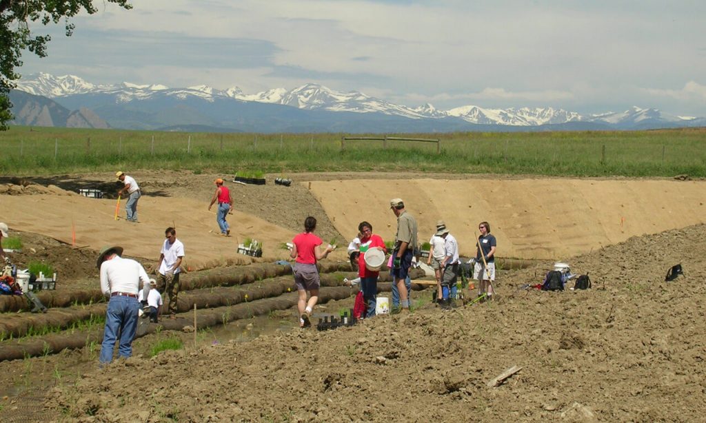 Partners planting