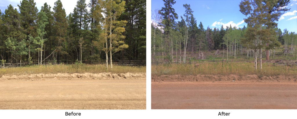 Reynolds Ranch Before and After