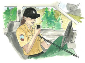 A park ranger talking into a radio