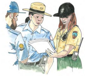 Three park rangers looking at papers