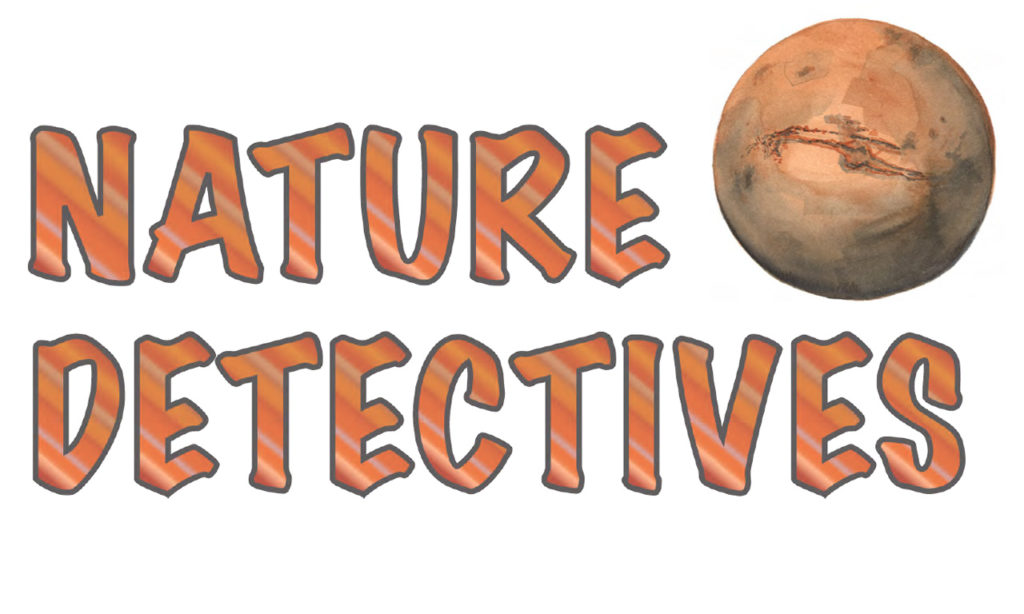 Nature Detectives Mars