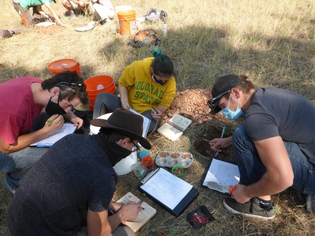 Students performing a soil survey