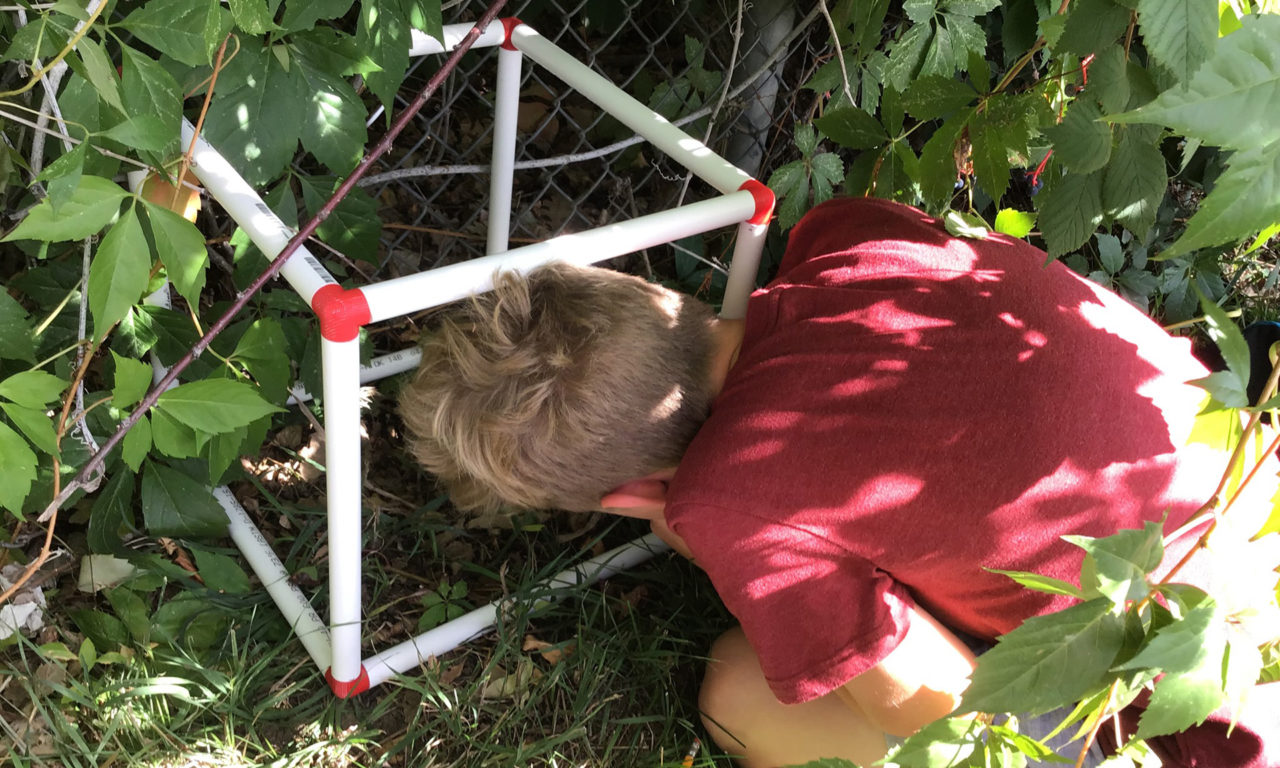 Outdoor Learning Lab: The Biocube Project
