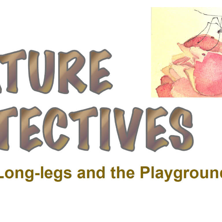 Daddy Long-legs & The Playground Myth