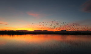 Stearns Lake