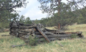 Billings Open Space