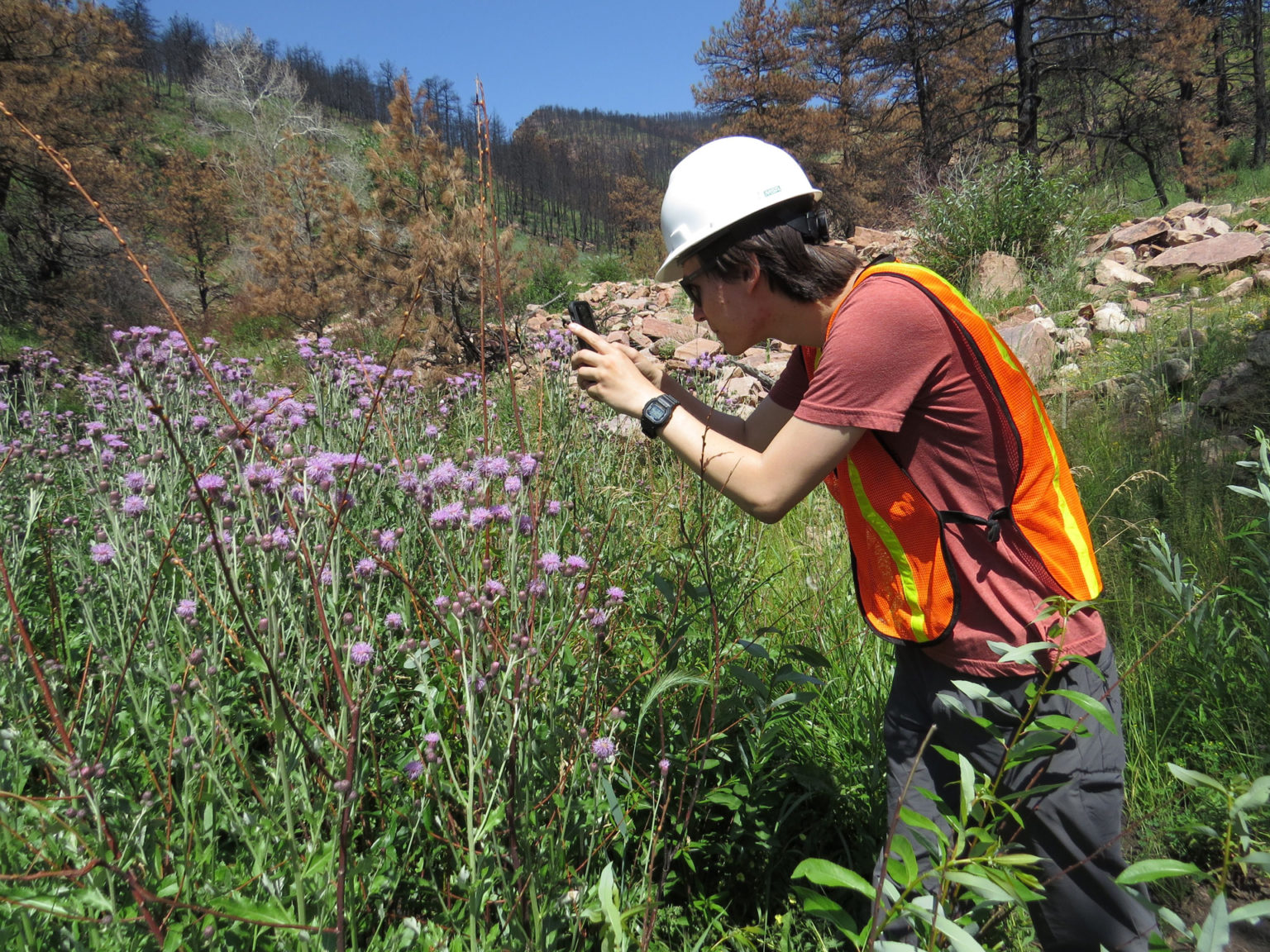 Following the Fire - Images
