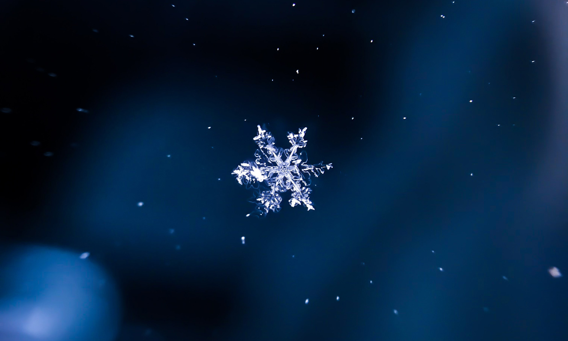 falling snowflake pictures