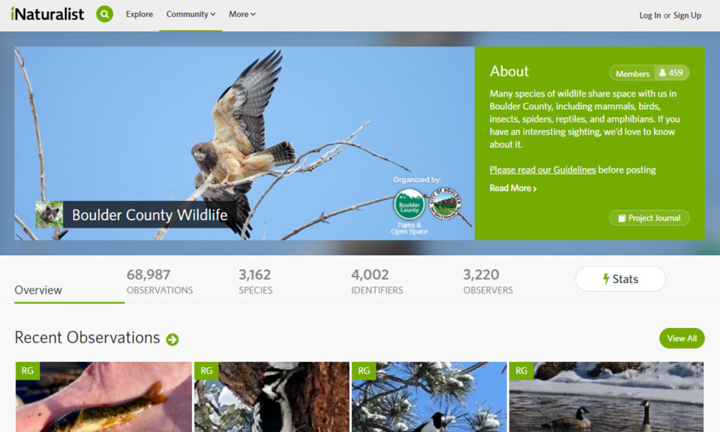 Screenshot of the iNaturalist website