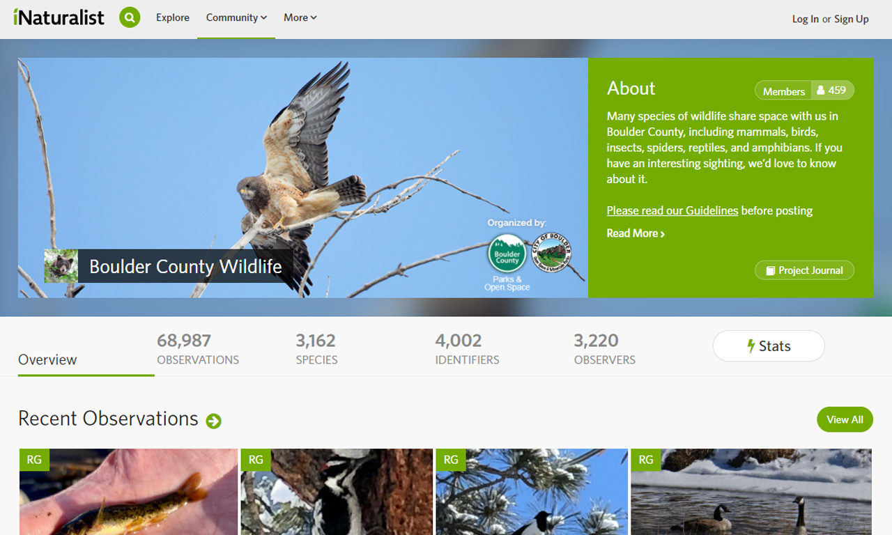 iNaturalist: Citizen Science and Identification All in One