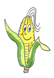 Corn plant