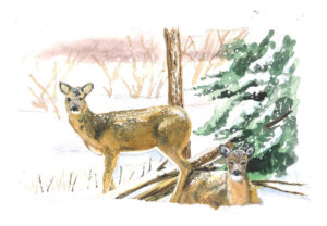 Painting of deer in winter