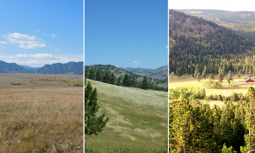 Three-panel image showing different life zones of Boulder County.