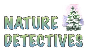 Nature Detectives Winter