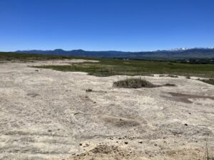 Turtleback formation along the Niwot Trail