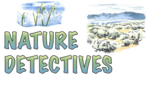 Nature Detectives logo with plants