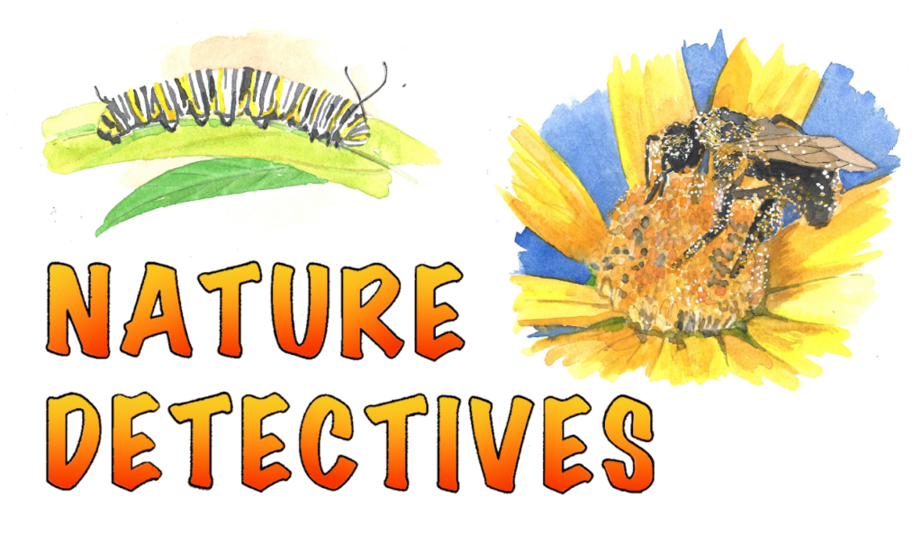 Nature Detectives logo with a caterpillar and bee