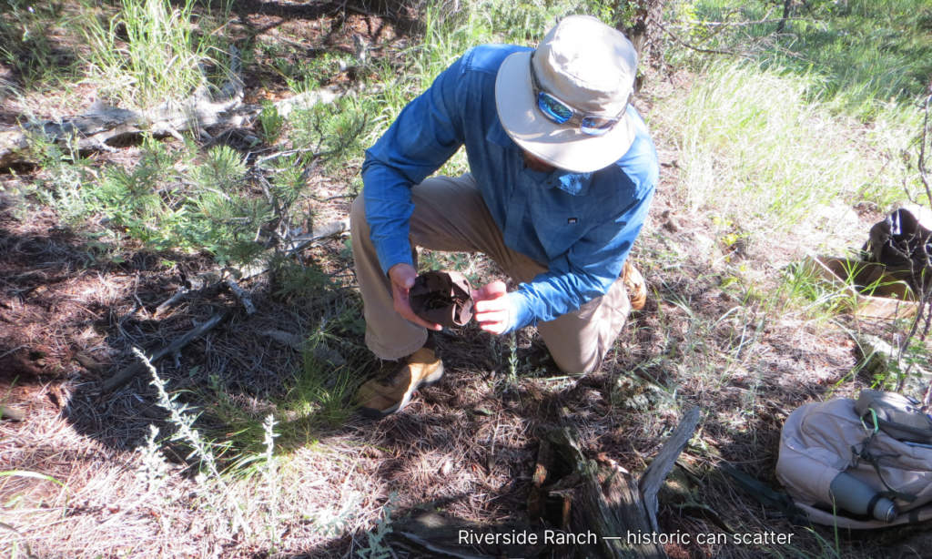 An archaeologist examines an historic can scatter at the Riverside Ranch site.