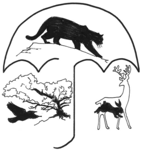 Hand-drawn illustration of the umbrella species concept.