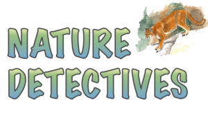 Nature Detectives logo with a mountain lion
