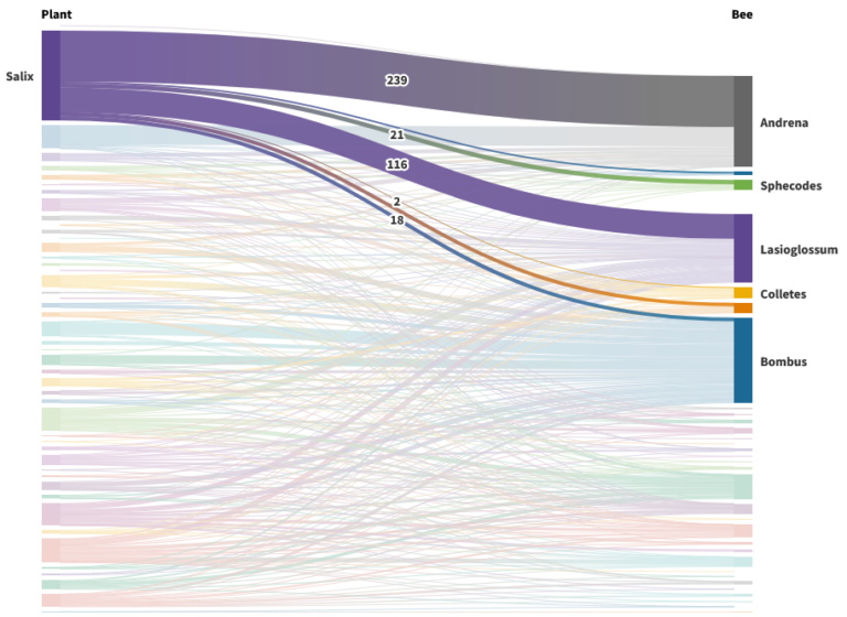 Highlighting The Complex Relationships Of Plants And Pollinators In 