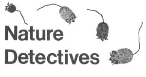 Hand-drawn mice surround the original logo for Nature Detectives.