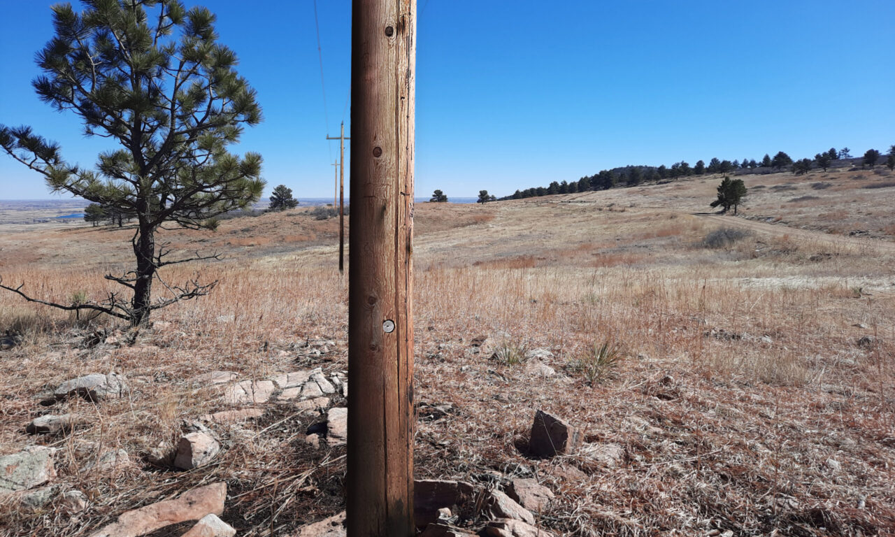 A landscape showing a re-creation of what the area looked like before the removal of a utility pole. The foreground features a tall wooden pole standing among dry grass and scattered rocks. In the background, there are rolling hills dotted with pine trees under a clear, bright blue sky. The scene is open and expansive, with more utility poles visible in the distance, marking the previous path of the power line.