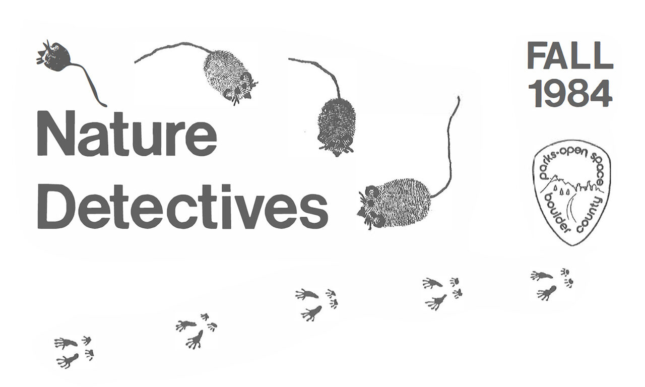 Hand-drawn mice surround the original logo for Nature Detectives.