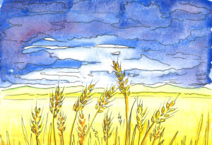 A watercolor illustration of a golden wheat field under a vibrant blue sky filled with swirling clouds.