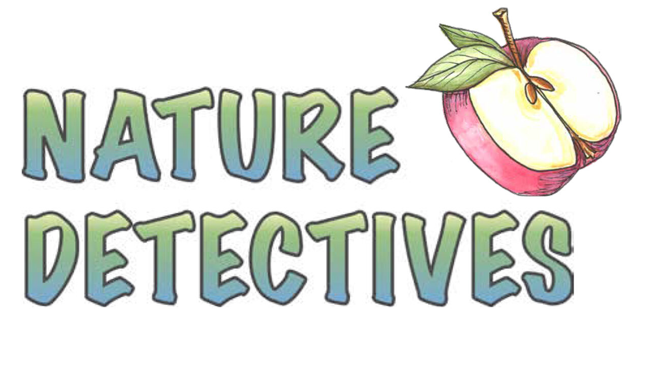 Nature Detectives wordmark with an apple cut in half showing the seeds