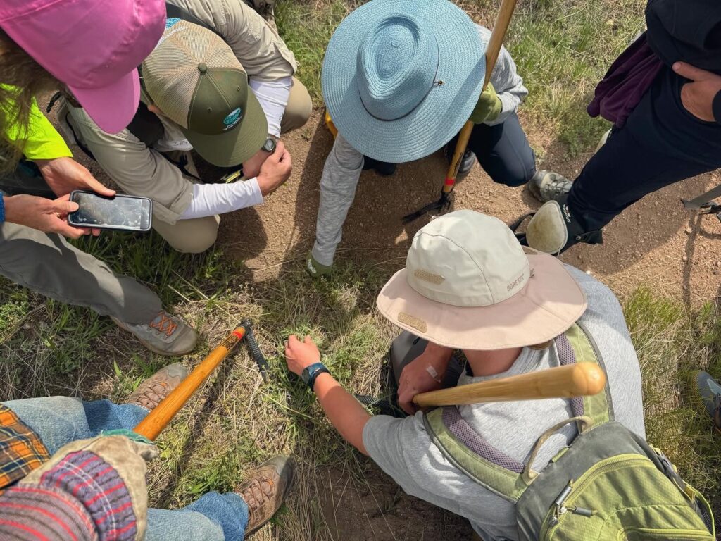 Volunteers are gathered low to the ground in a circle as they investigate a weed to determine if it is invasive.