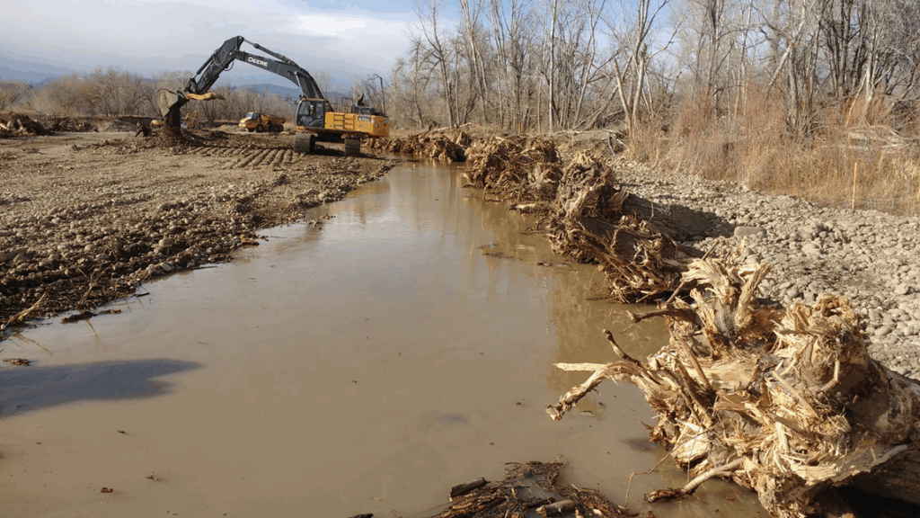 Construction work along St. Vrain Creek in 2018, showing an excavator placing soil near a narrow, muddy stream. Large uprooted tree trunks line the bank to serve as erosion control and habitat enhancement. Leafless trees and a clear sky form the background.