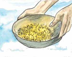 Watercolor illustration of two hands holding a pan filled with small golden flakes, as if panning for gold in a stream.