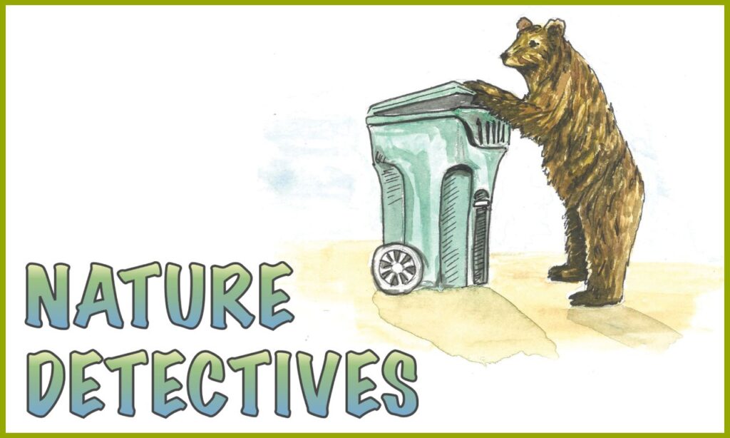 Nature Detectives wordmark and a large bear peeks into a garbage can for food