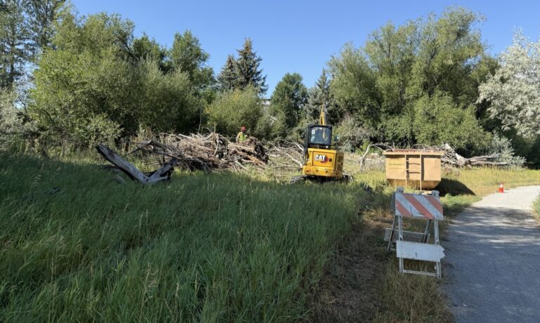 Boulder County Ditch Wildfire Mitigation Program