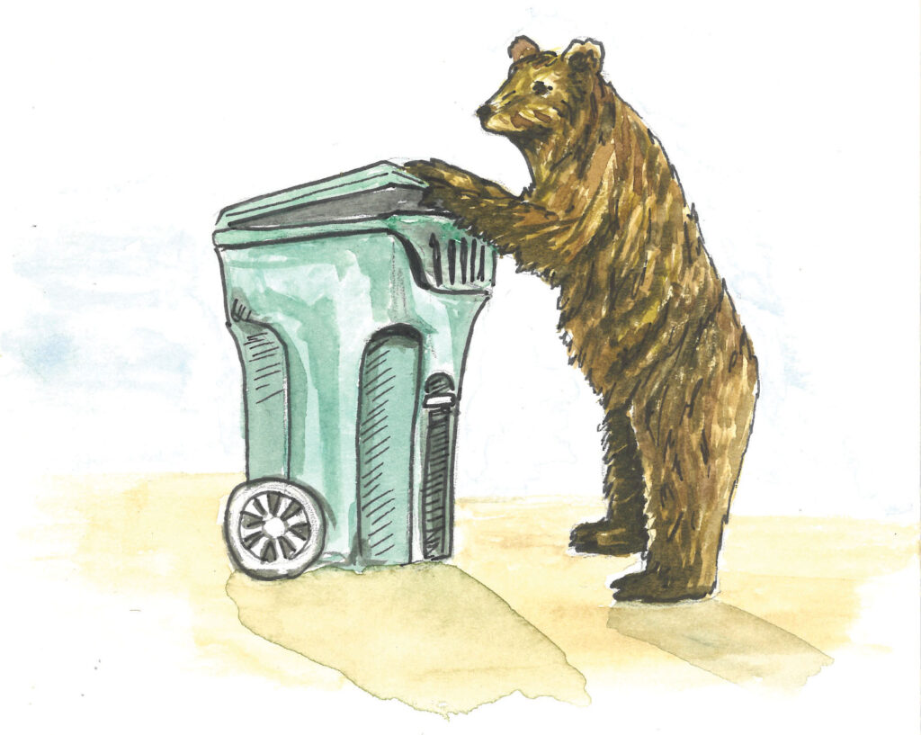A large bear peeks into a garbage can for food